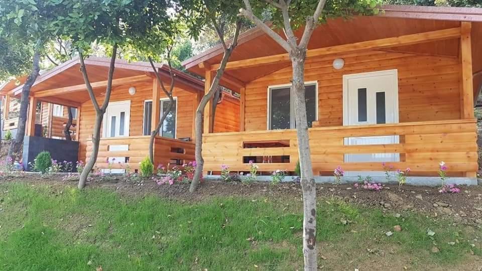Plazhi Gjeneralit - Small Cabins - Bungalows - Apartaments - Villas - Suite Kavaja Exterior foto